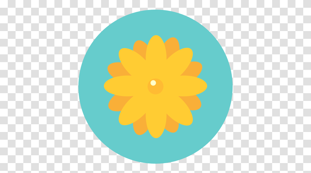 Flowers Aroma Nature Daisy Blossom Flower Icon Flat Flower Icon, Icing, Cream, Cake, Dessert Transparent Png