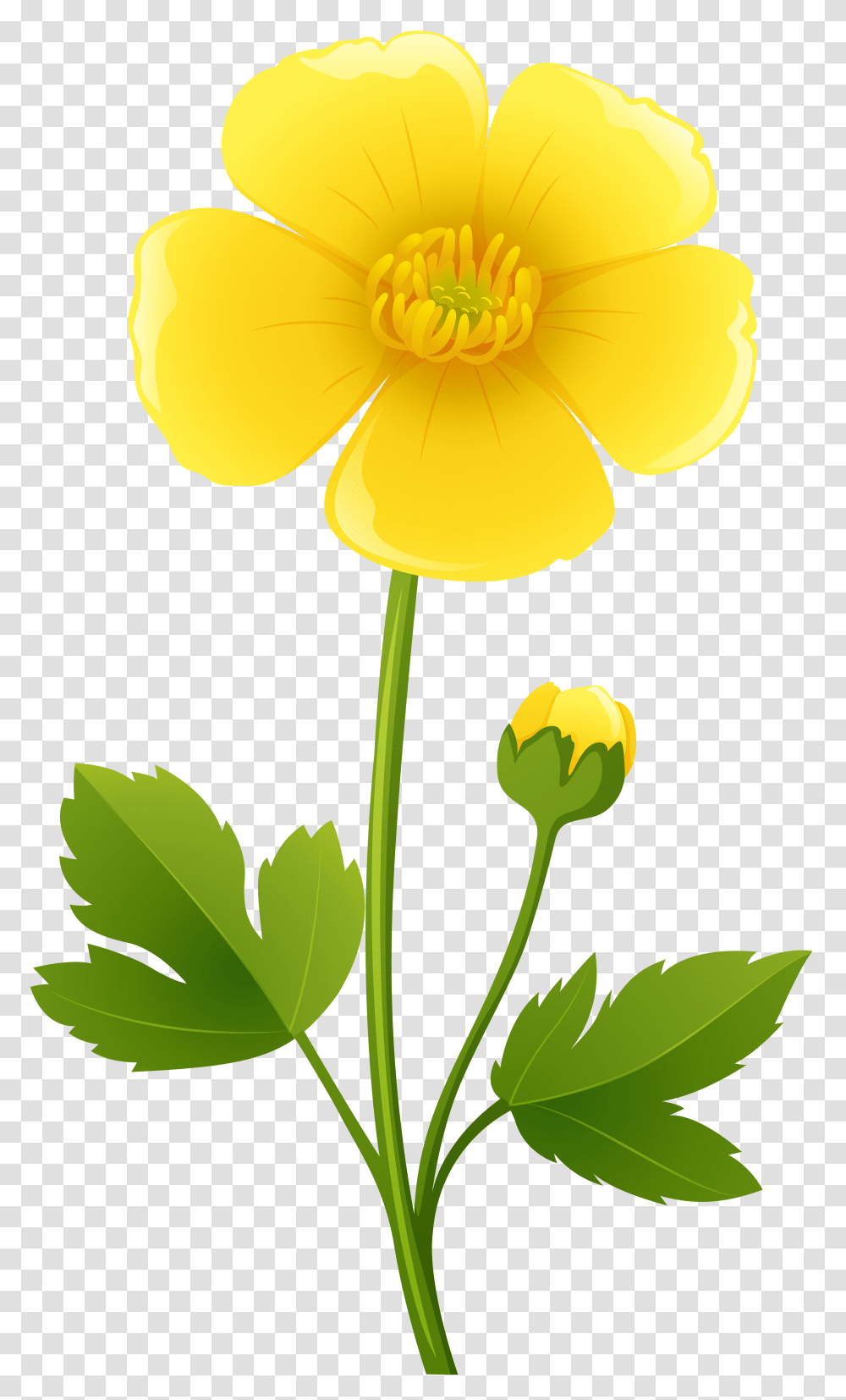 Flowers Art Clip Art, Plant, Blossom, Daffodil, Pollen Transparent Png