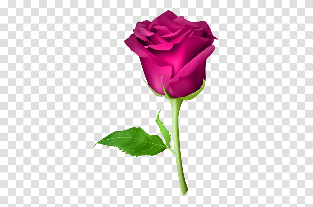 Flowers Art Images Red, Rose, Plant, Blossom Transparent Png