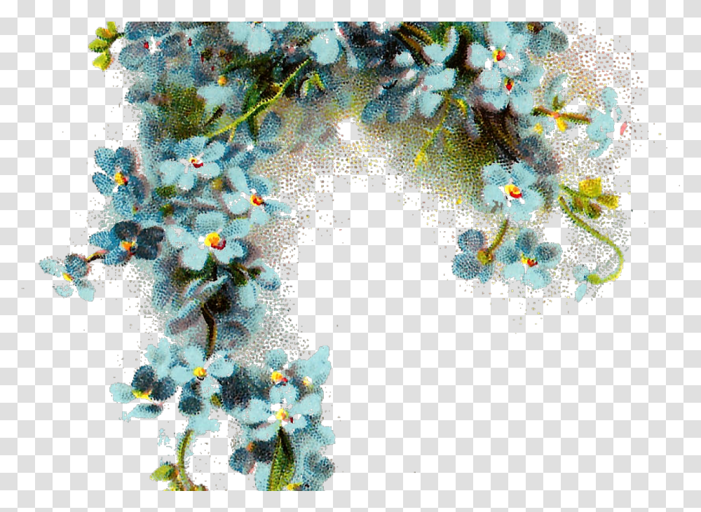 Flowers Background Forget Me Not Flower Hd Picsart Flower Full Hd, Plant, Pollen, Geranium, Petal Transparent Png