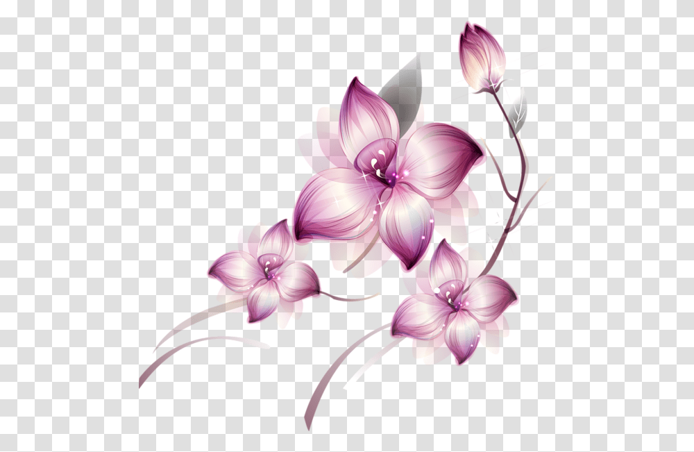 Flowers Beautiful Flower, Plant, Blossom Transparent Png