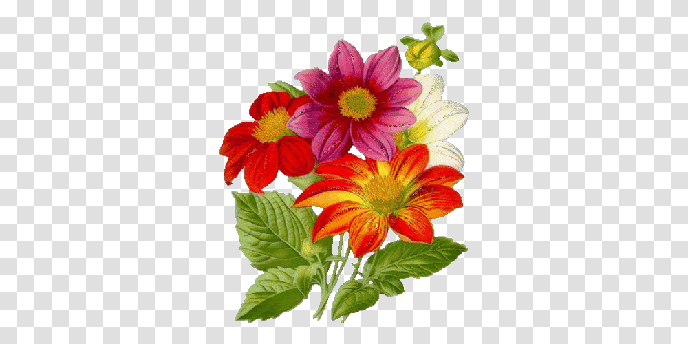 Flowers Birds I Vintage Botanical Flower, Plant, Blossom, Flower Arrangement, Flower Bouquet Transparent Png