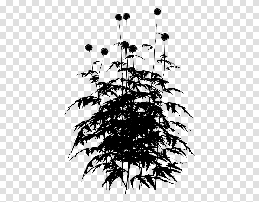 Flowers Black And White Plant Black And White, Gray, World Of Warcraft Transparent Png