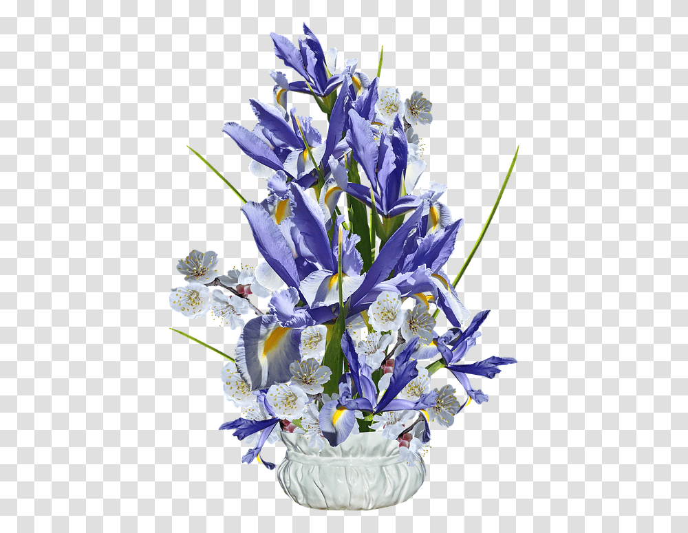 Flowers Blue Irises Free Photo On Pixabay Netted Iris, Plant, Flower Arrangement, Flower Bouquet, Petal Transparent Png