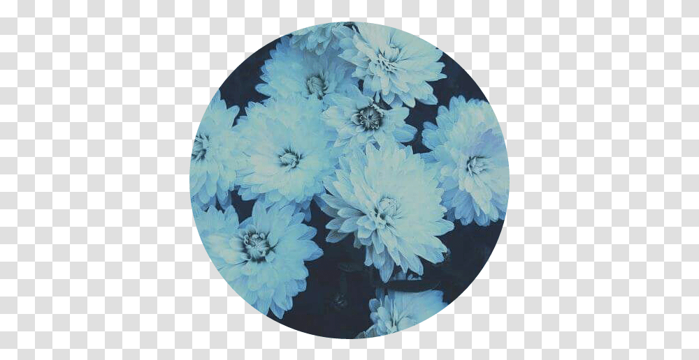 Flowers Blue Tumblr Pastel Blue Blue Stickers Full Size Flowers Tumblr Blue, Plant, Dahlia, Blossom, Painting Transparent Png