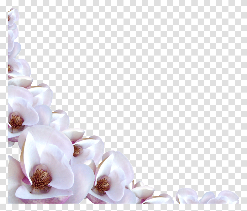 Flowers Border Background, Plant, Blossom, Wedding Cake, Dessert Transparent Png