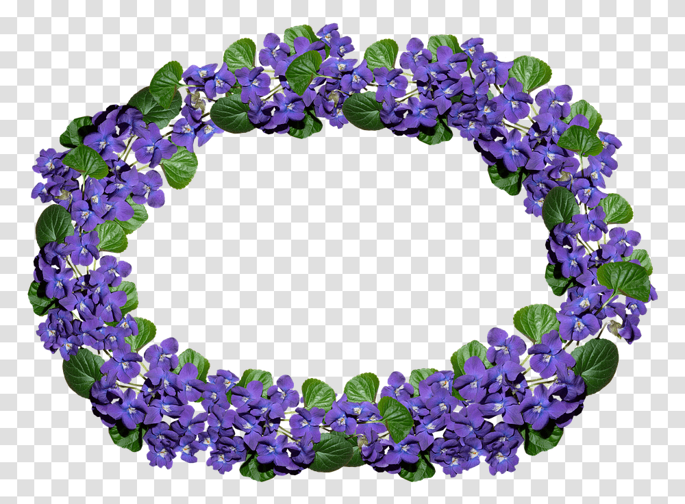 Flowers Border Flower, Plant, Blossom, Wreath Transparent Png