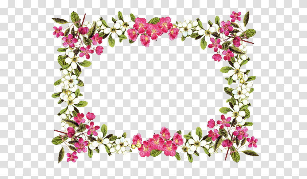 Flowers Borders Clipart, Floral Design, Pattern, Plant Transparent Png