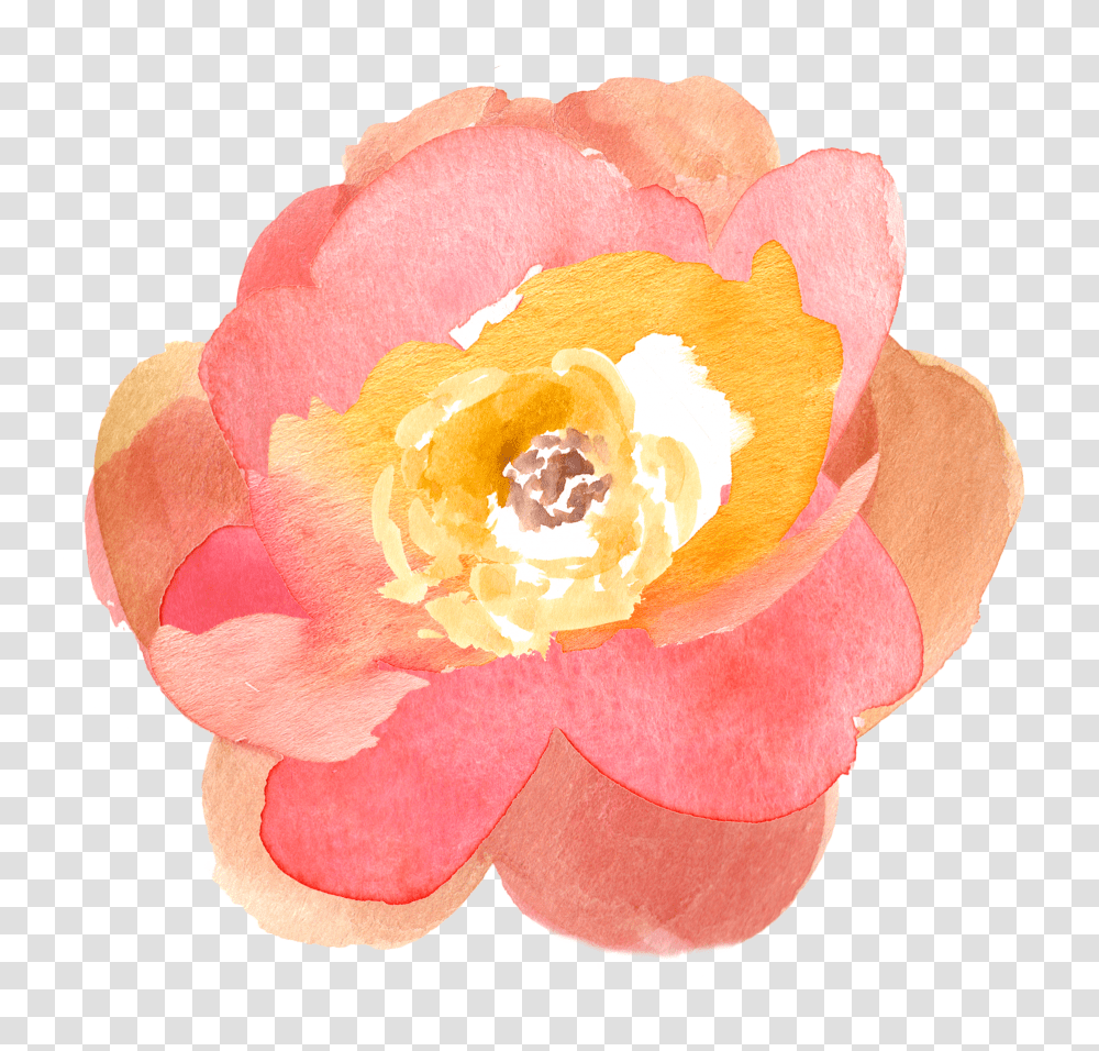 Flowers Clip Art Flower Water Color Clipart, Rose, Plant, Blossom, Petal Transparent Png