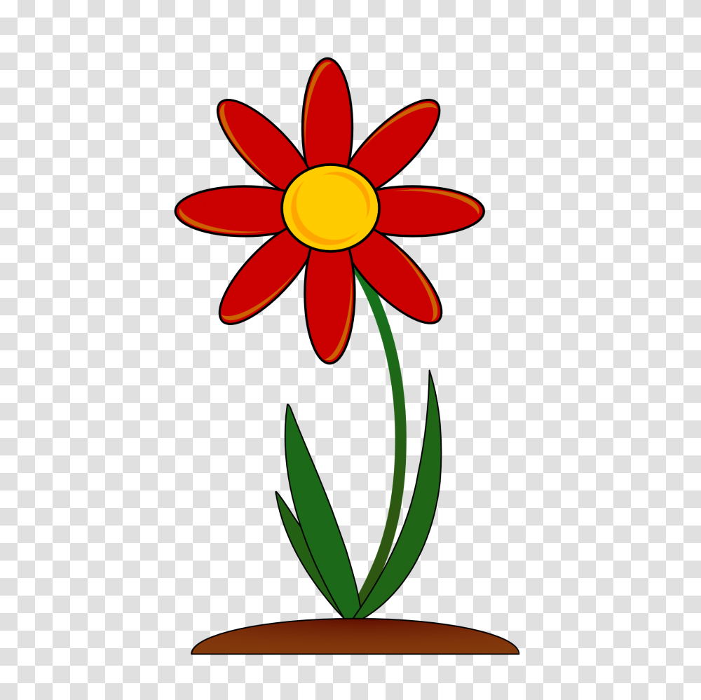 Flowers Clip Art, Plant, Blossom, Daisy, Daisies Transparent Png