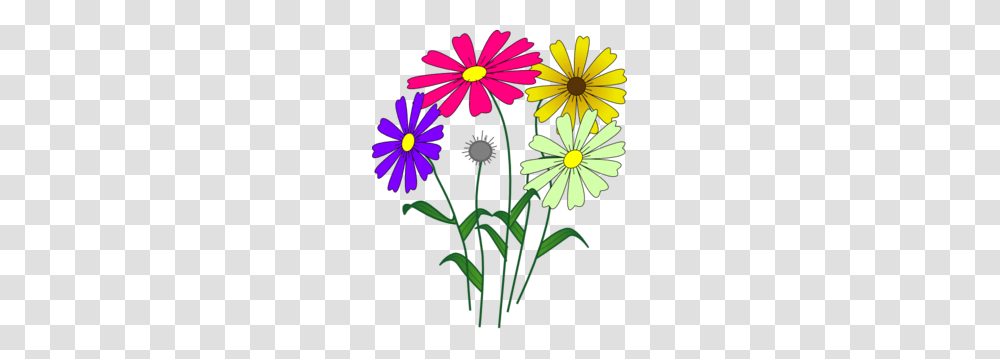 Flowers Clip Art, Plant, Daisy, Daisies, Blossom Transparent Png