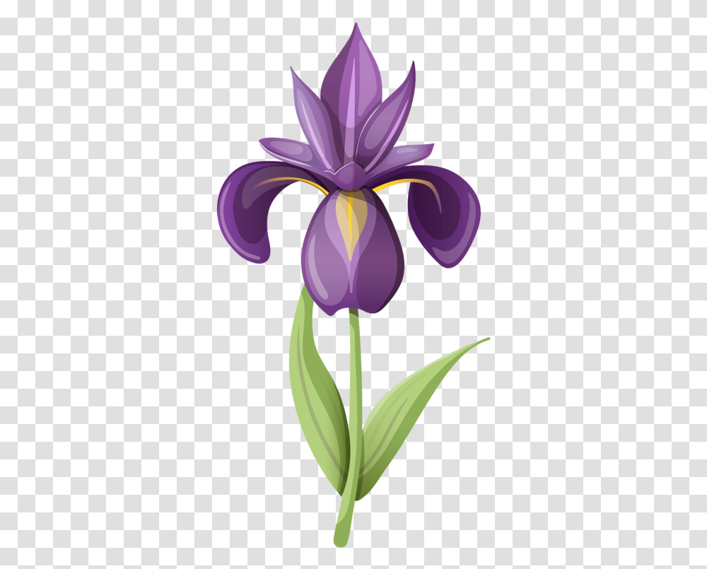 Flowers Clipart Bluebonnet Picture 1128875 Iris Flower Iris Clip Art, Plant, Blossom, Purple Transparent Png