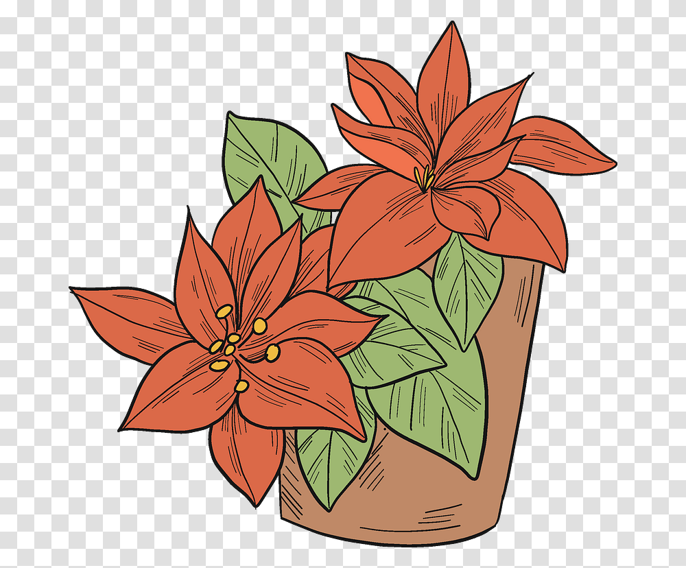 Flowers Clipart Free Download In Or Vector Format Poinsettia, Plant, Floral Design, Pattern, Graphics Transparent Png