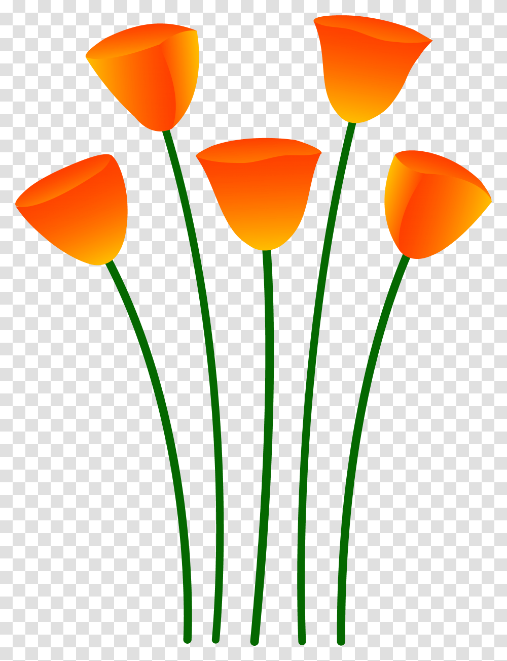 Flowers Clipart Orange Free For California Poppy Clip Art, Plant, Blossom, Petal, Tulip Transparent Png