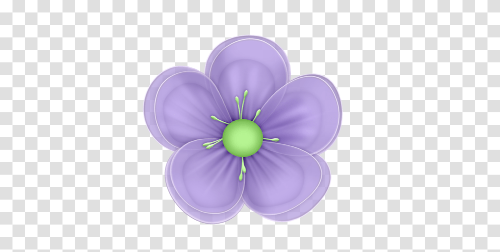 Flowers Clipart, Plant, Anemone, Blossom, Petal Transparent Png