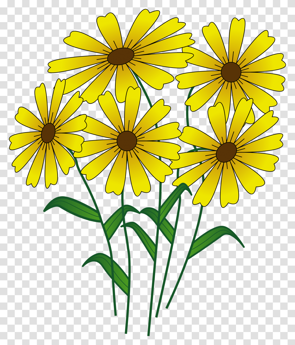 Flowers Clipart, Plant, Blossom, Daisy, Daisies Transparent Png