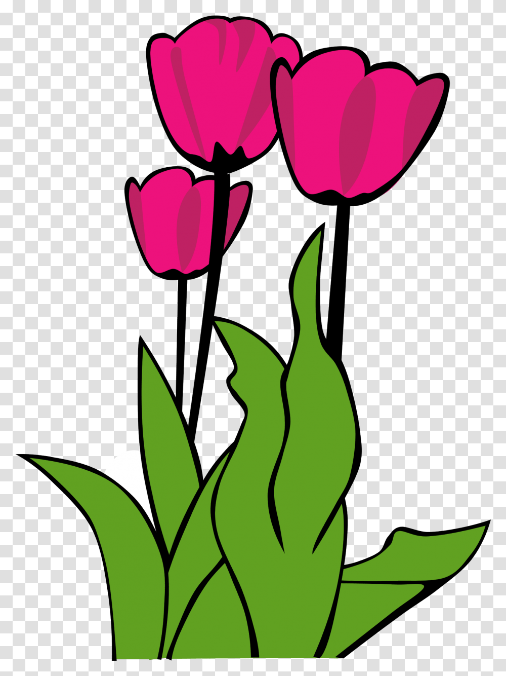 Flowers Clipart Tulip Free For Flower Clip Art Tulips, Plant, Petal, Blossom, Leaf Transparent Png