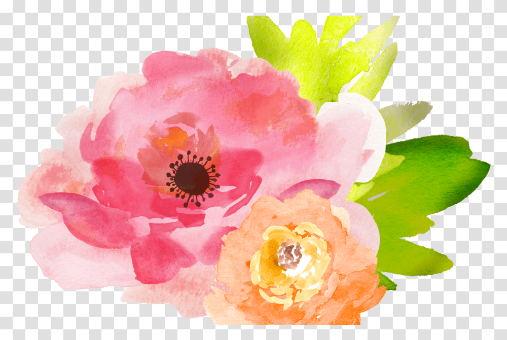 Flowers Clipart Watercolor Flowers Background, Plant, Anther, Blossom, Petal Transparent Png