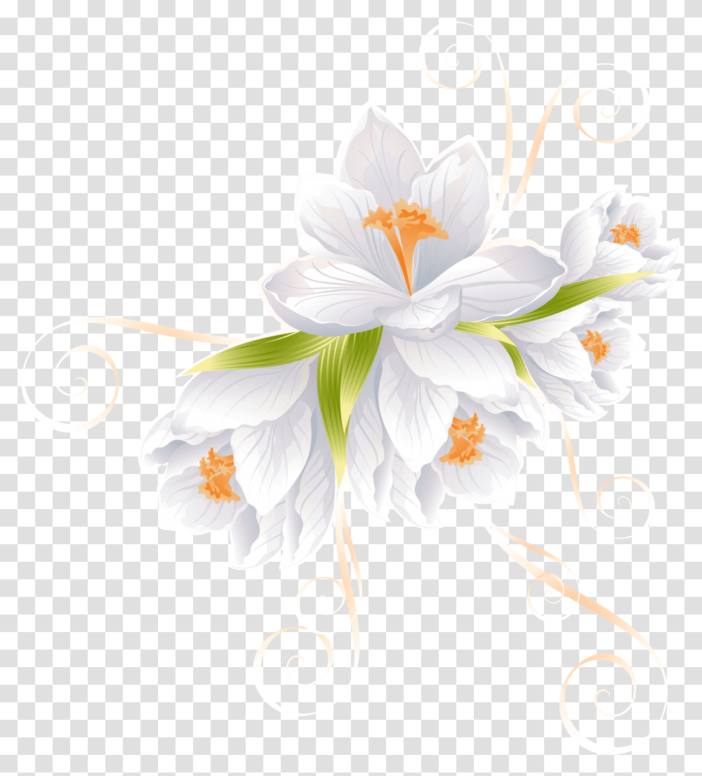 Flowers Clipart White Flowers Background, Floral Design, Pattern, Plant Transparent Png