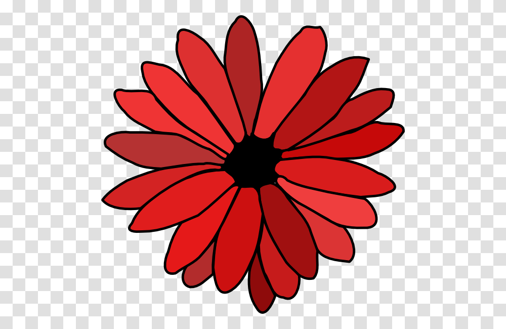 Flowers Color Clipart Basic Flower, Plant, Daisy, Daisies, Blossom Transparent Png