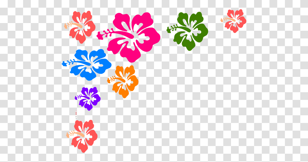 Flowers Color Clipart, Plant, Blossom, Hibiscus Transparent Png