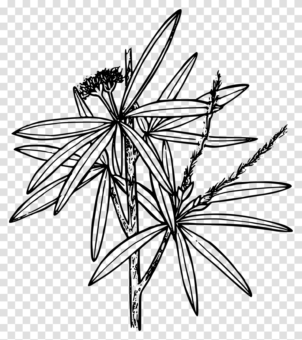 Flowers Coloring Pages Pixabay, Gray, World Of Warcraft Transparent Png