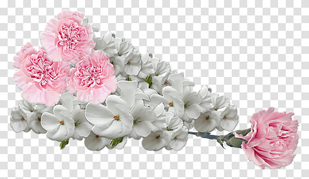 Flowers Composition Transparent Png