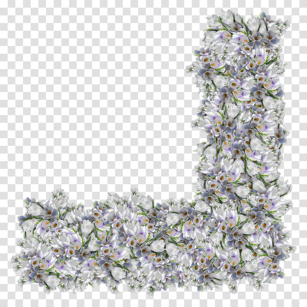Flowers Corner Clipping Scrap Graphics, Plant, Tree, Ornament, Petal Transparent Png