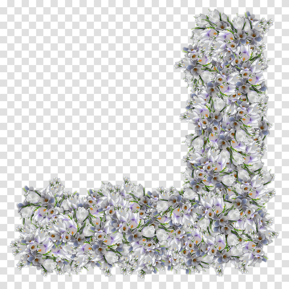 Flowers Corner Free Image On Pixabay Scraps, Plant, Tree, Ornament, Petal Transparent Png