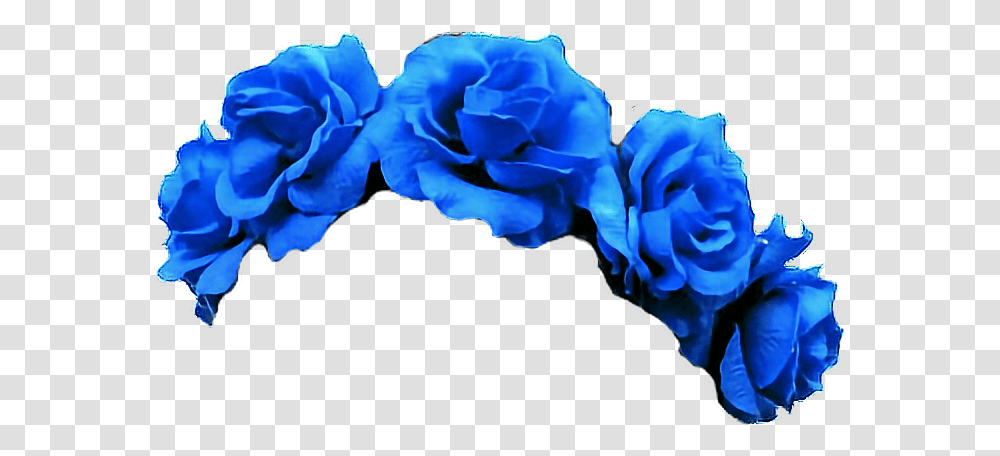 Flowers Crown Blue Freetoedit Blue Flower Crown, Rose, Plant, Blossom, Carnation Transparent Png
