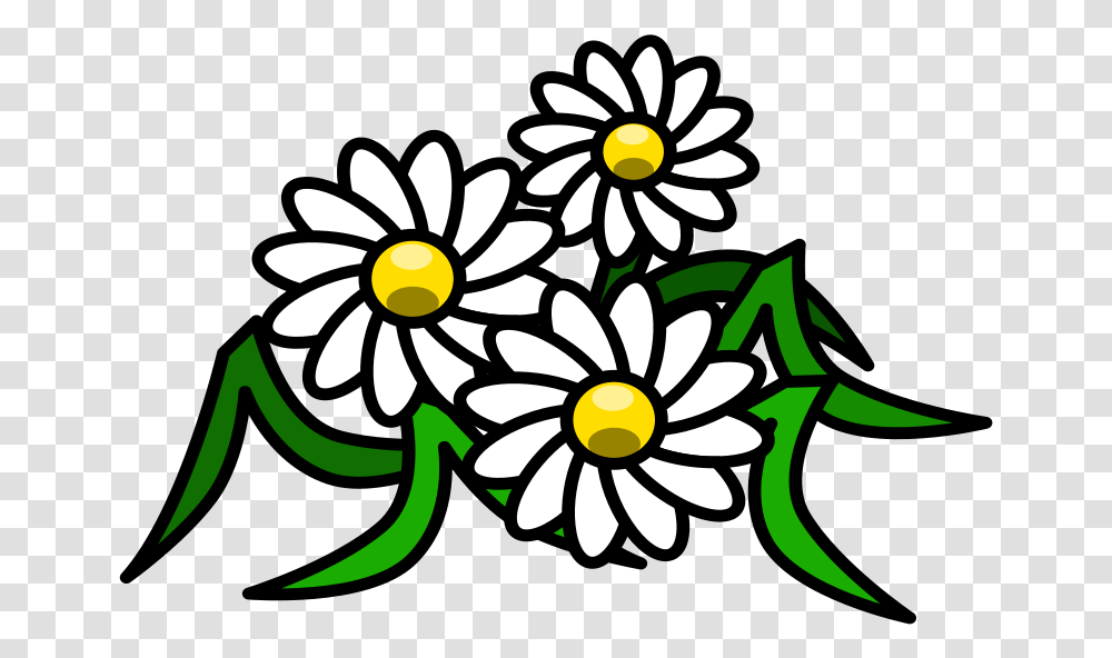 Flowers Daisy White Floral Blossom Bloom Beauty White Flower Clipart, Floral Design, Pattern, Plant Transparent Png