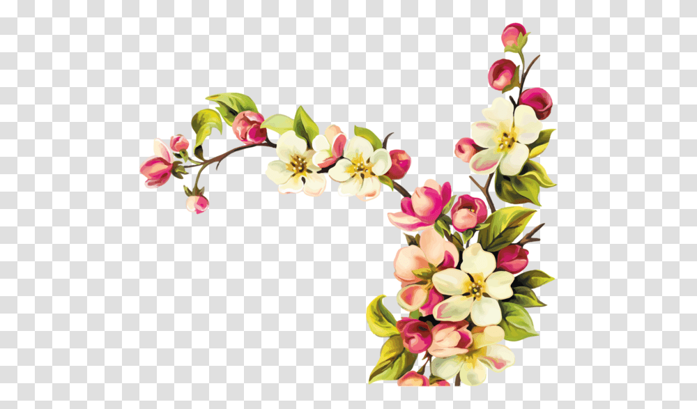 Flowers Design Vector, Plant, Blossom, Floral Design, Pattern Transparent Png