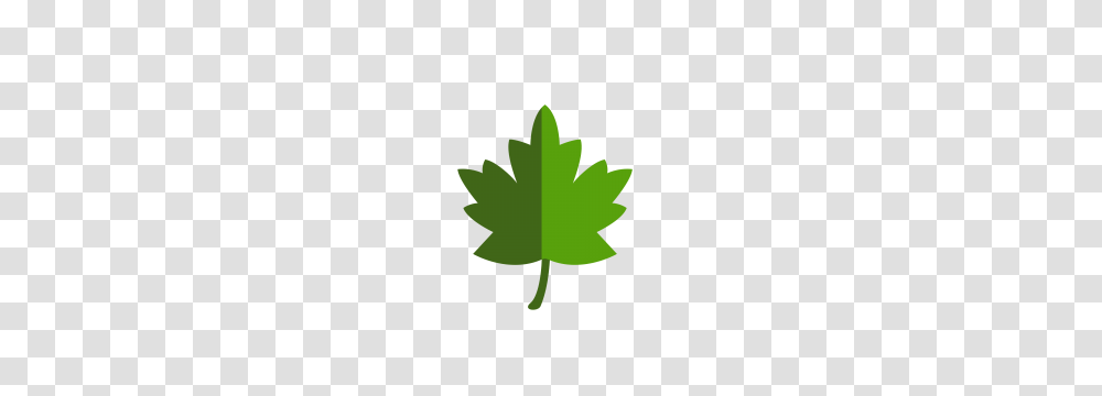 Flowers Download, Leaf, Plant, Maple Leaf, Green Transparent Png