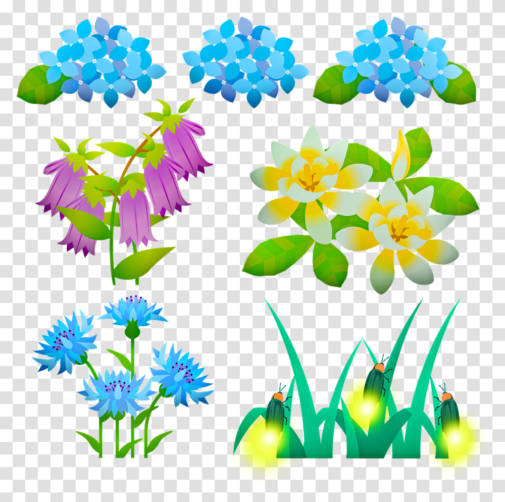 Flowers Fireflies Hydrangea, Graphics, Art, Floral Design, Pattern Transparent Png