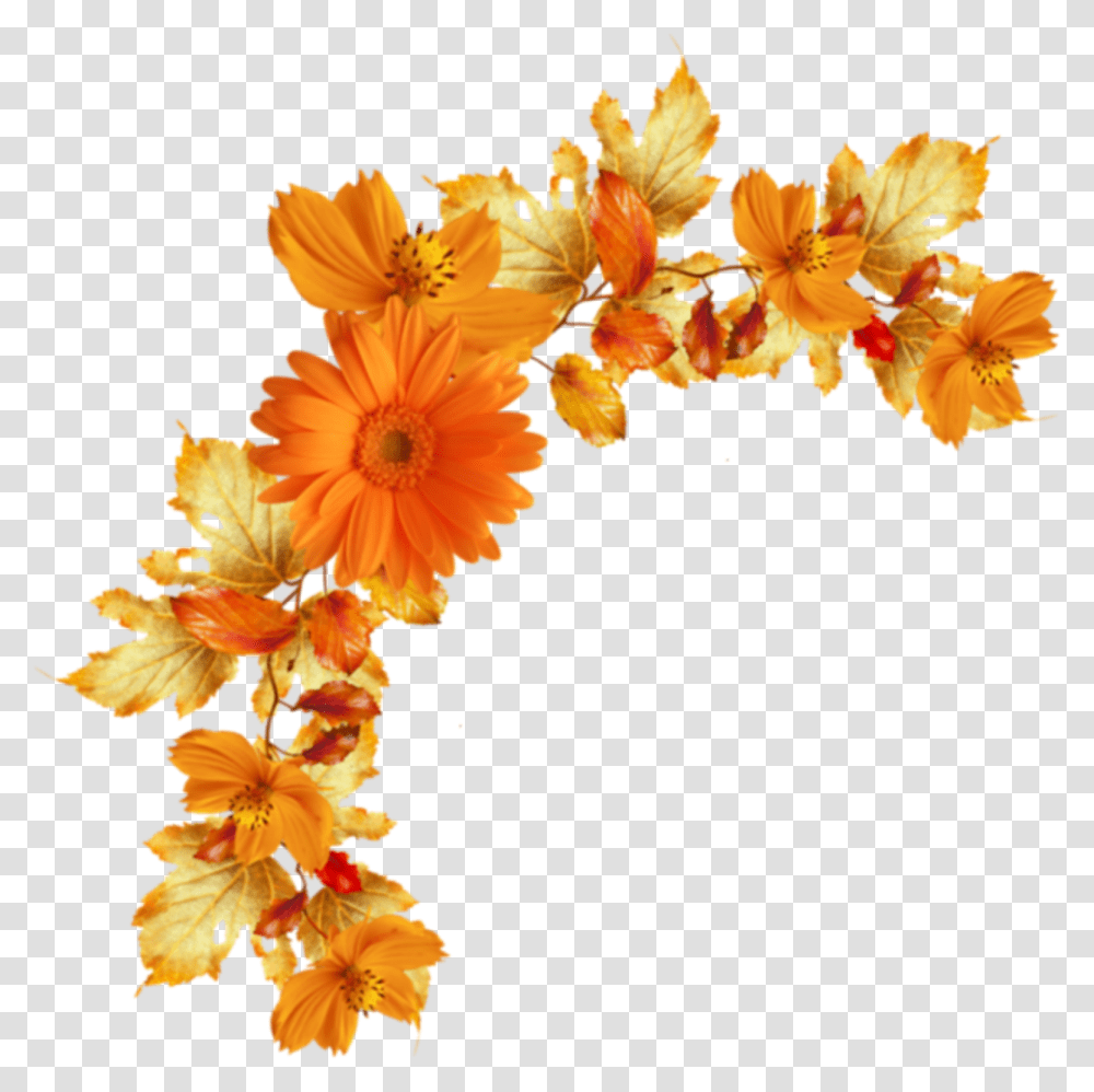 Flowers Flores Orange Naranja Yellow Amarillo Flores Naranjas, Plant, Blossom, Flower Arrangement, Flower Bouquet Transparent Png