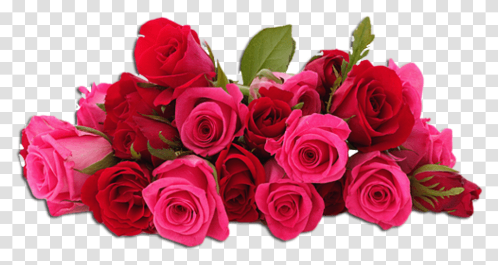 Flowers Flores Pink Red Roses Rosas Flower Images For Editing, Plant, Flower Bouquet, Flower Arrangement, Blossom Transparent Png