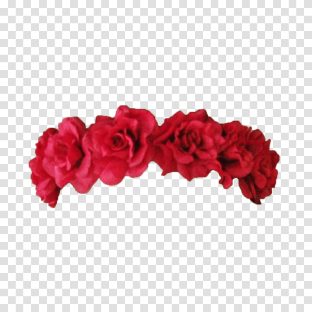 Flowers Flower Crown, Hair Slide, Rose, Plant, Blossom Transparent Png