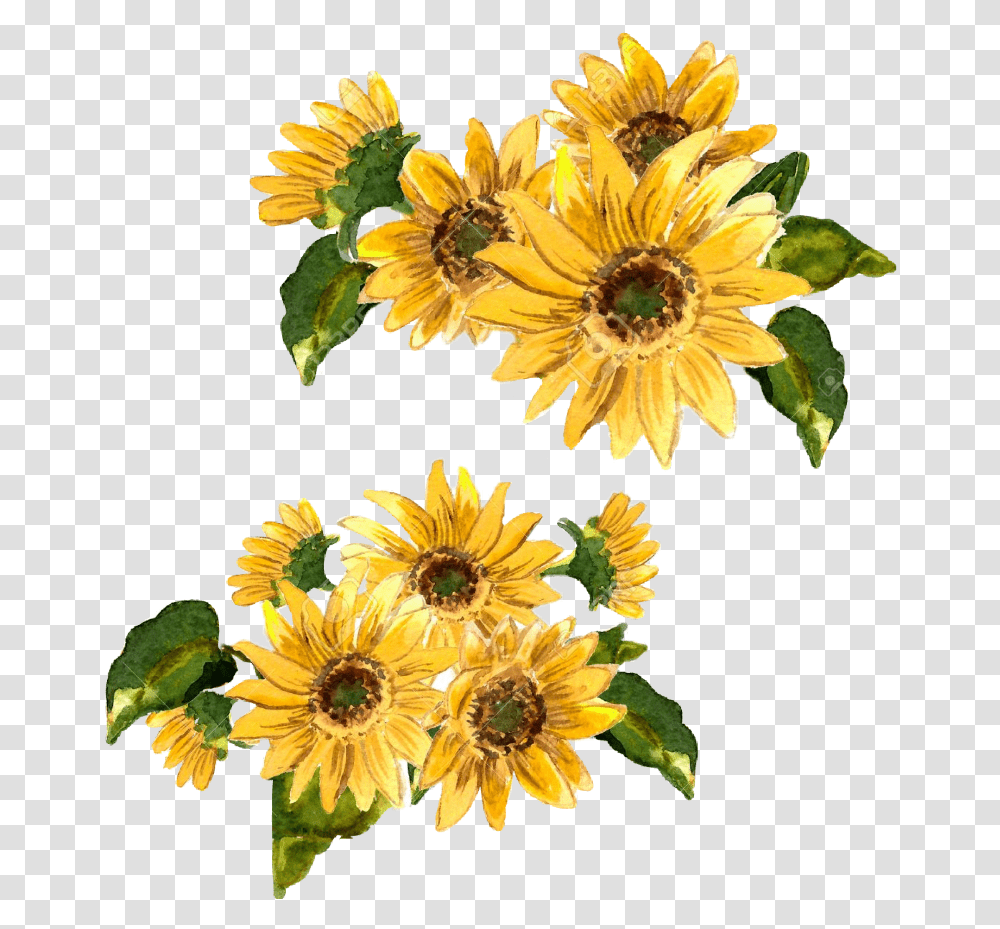 Flowers Flower Girasol Flor Amarilla Amarillo Painted Yellow Flower Painting, Plant, Blossom, Sunflower, Flower Arrangement Transparent Png