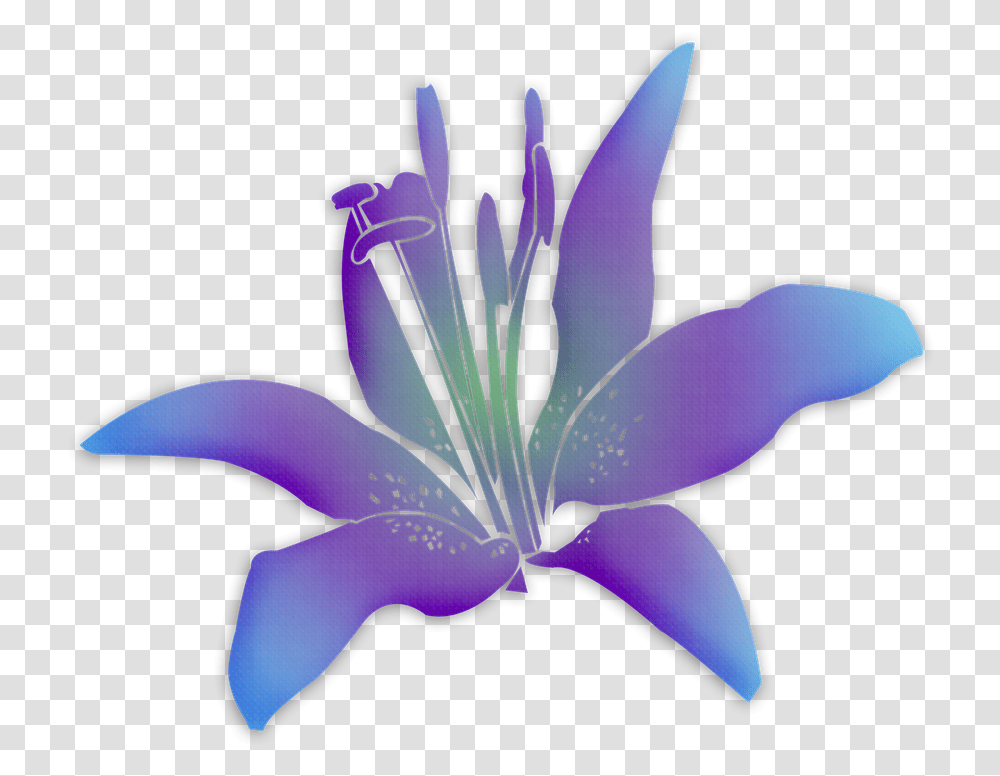Flowers Flower Purple Flower Free Picture Flower, Plant, Lily, Blossom, Bird Transparent Png