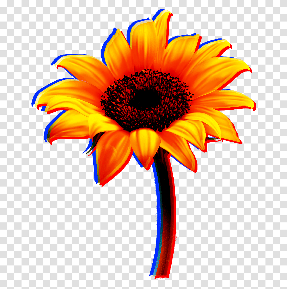 Flowers Flower Sunflower Sun Yellow Red Sticker Sunflower, Plant, Blossom, Daisy, Daisies Transparent Png