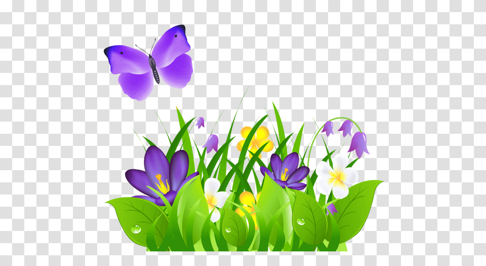 Flowers Flowers Clip Art, Plant, Blossom, Spring, Iris Transparent Png