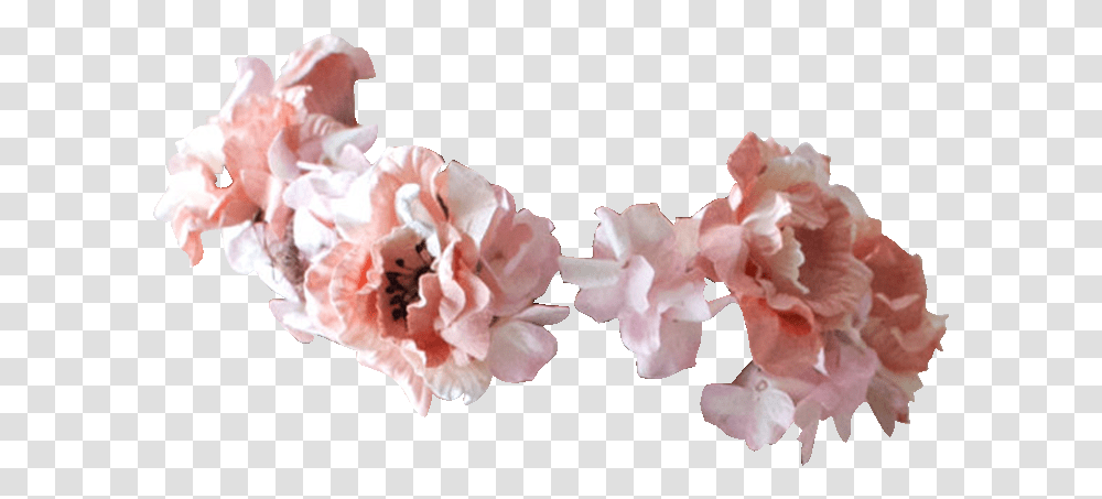 Flowers Flowers Flower Crown Flowers Wreath, Plant, Blossom, Carnation, Cherry Blossom Transparent Png