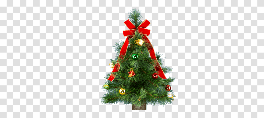 Flowers For Cemeteries Inc Christmas Day, Christmas Tree, Ornament, Plant, Pine Transparent Png