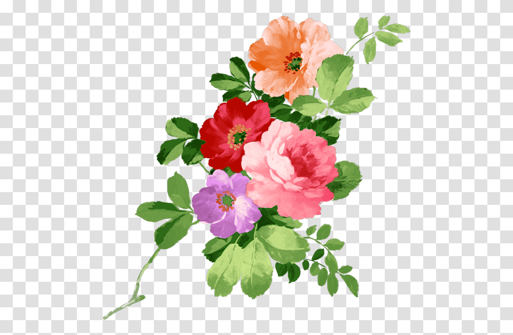 Flowers For Mrs Gof Free Hand Flower Painting, Plant, Blossom, Hibiscus, Anther Transparent Png