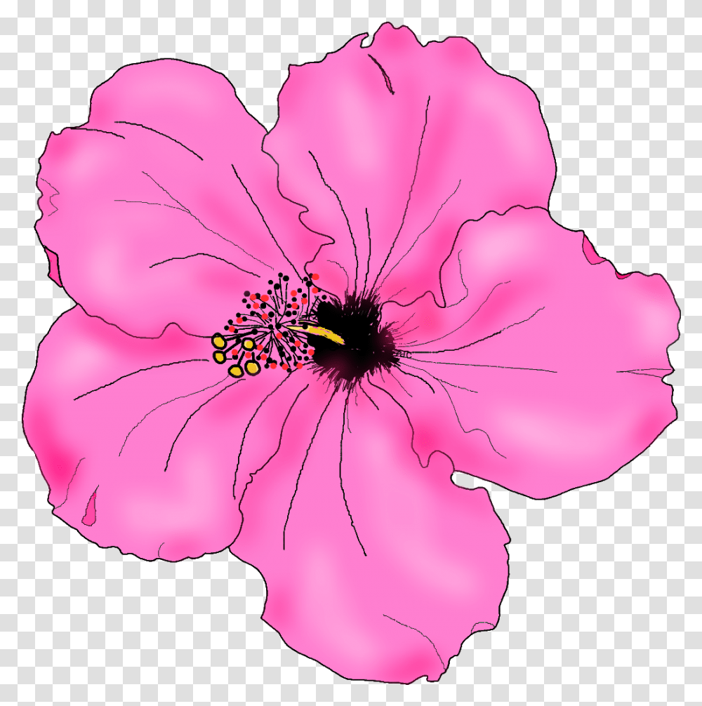 Flowers For Simple Hibiscus Flower Drawing Pink Hibiscus Cool Drawing Hibiscus Flower, Plant, Blossom, Geranium, Person Transparent Png