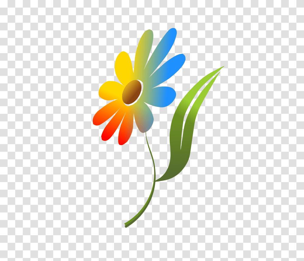 Flowers For Single Flowers Clip Art, Petal, Plant, Blossom, Daisy Transparent Png