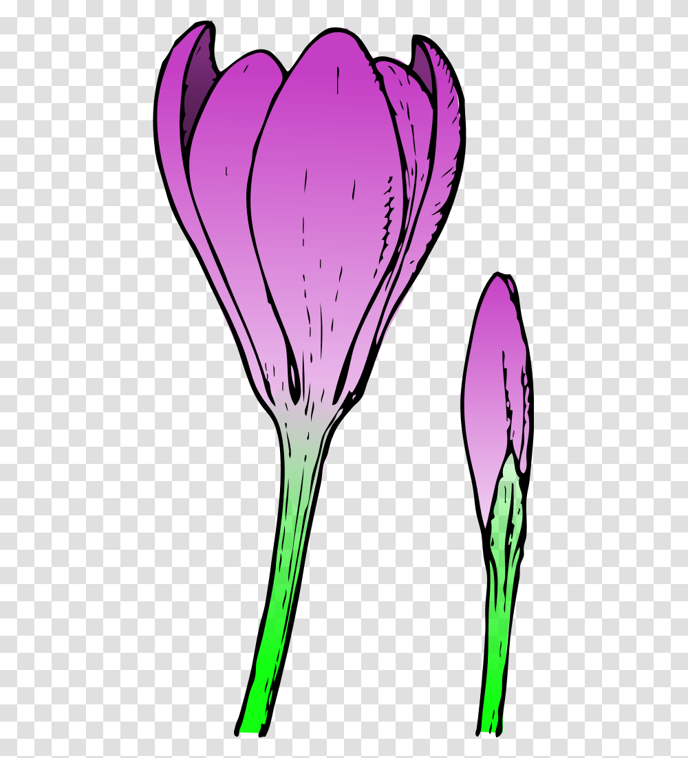 Flowers For Single Spring Flower Clip Art, Plant, Petal, Blossom, Daisy Transparent Png