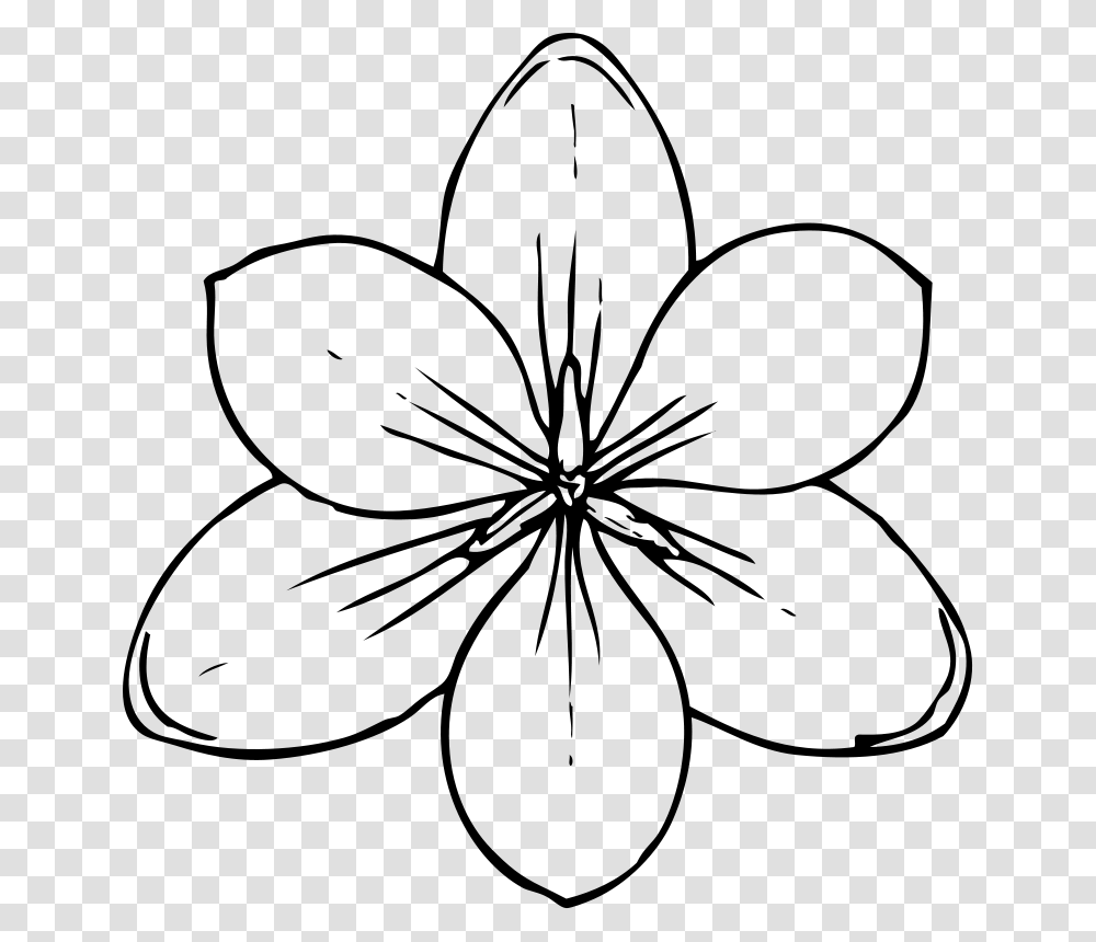 Flowers For Spring Flowers Pictures To Colour, Gray, World Of Warcraft Transparent Png