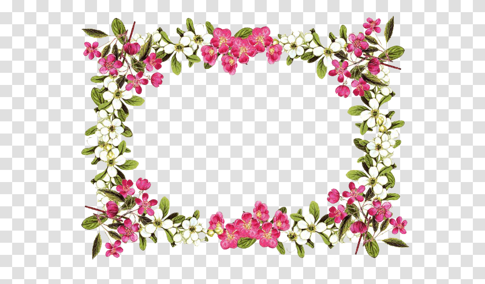 Flowers Frame Rose, Plant, Blossom, Floral Design, Pattern Transparent Png