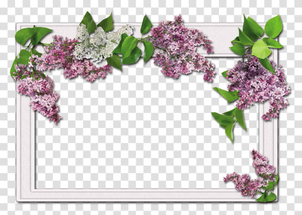 Flowers Frame Wedding Frames For Photoshop Transparent Png
